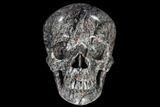 Polished Skull Crinoidal Limestone #116409-1